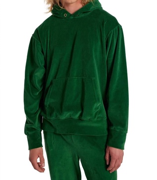 cropped velour hoodie sweatshirt in kale