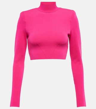 Turtleneck crop top