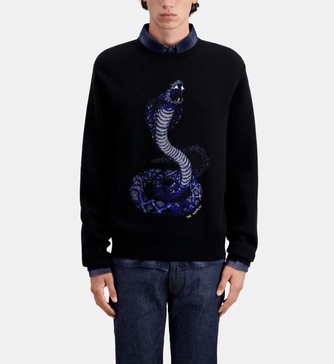 cobra sweater in wool blend