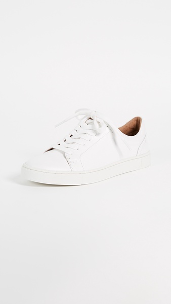 Ivy Low Lace Sneakers