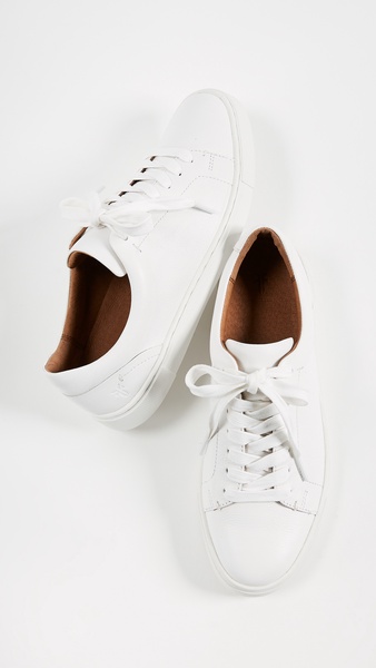 Ivy Low Lace Sneakers