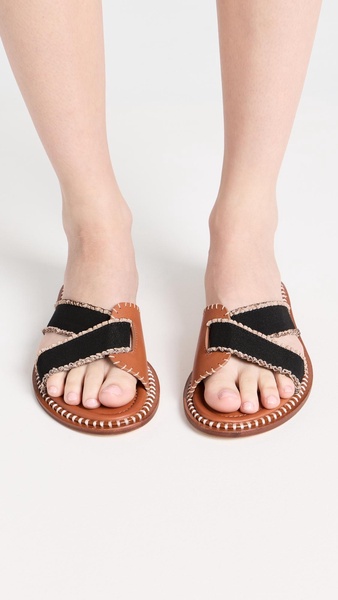 Ameya Elastic Slides