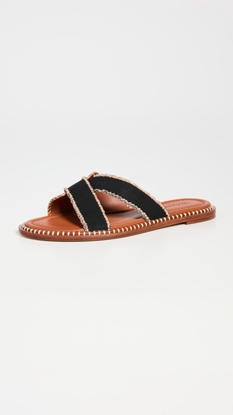 Ameya Elastic Slides