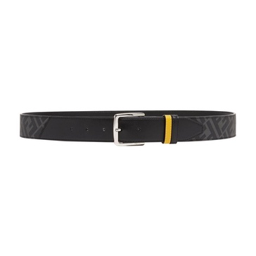 Fendi Diagonal Belt