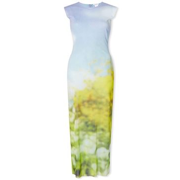 Acne Studios Women Blurred Print Maxi Dress