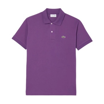 Stylish T-shirts and Polos