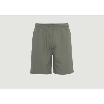 Organic Cotton Classic Sports Shorts