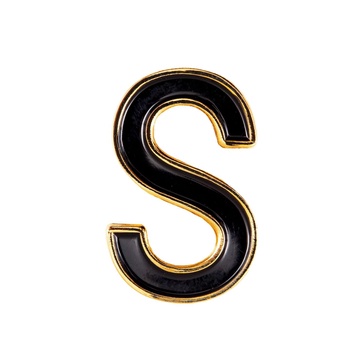 Enamel Letter S Pin