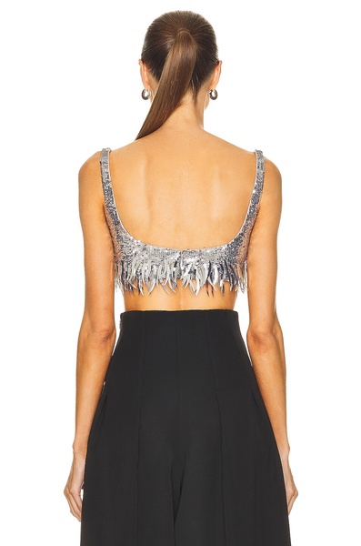 Scoop Neck Sequin Embroidered Crop Top