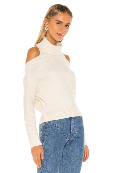 Anisa Turtleneck Sweater