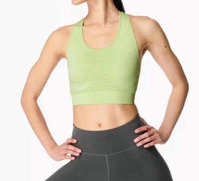 stamina sports bra in utopia green