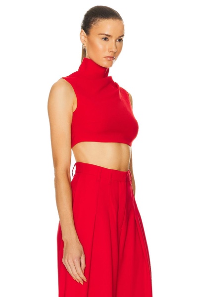 Turtleneck Sleeveless Crop Top