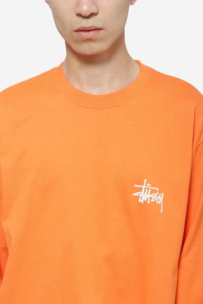 Basic Stussy Longsleeve