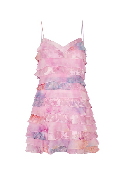 Agrace ruffled chiffon mini dress 