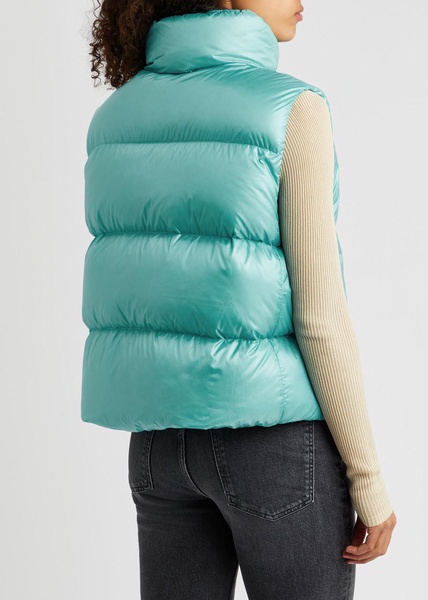 Cypress quilted shell gilet