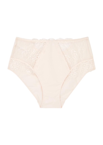 Reve panelled lace briefs 