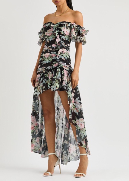 Paradise Garden floral-print chiffon dress