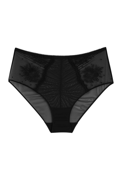 Intrigue high-waist embroidered tulle briefs