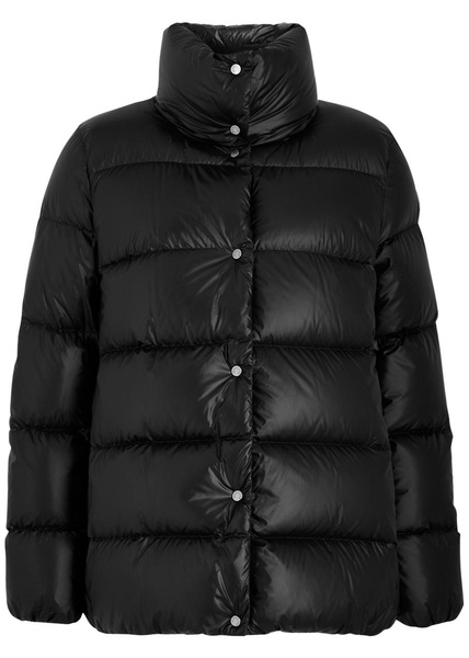 Cochevia quilted nylon jacket 