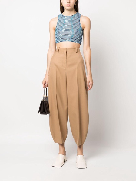 semi-sheer cropped top