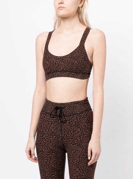 Leo Dance leopard-print bra