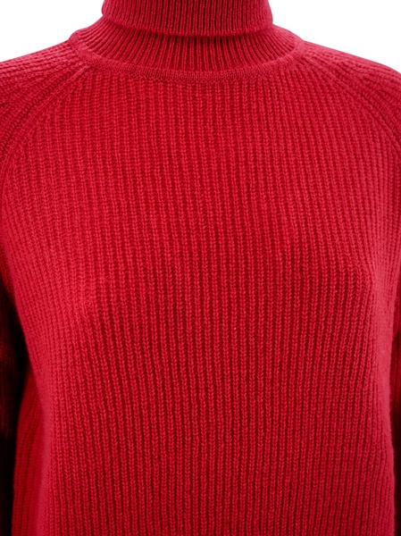 Ribbed Turtleneck