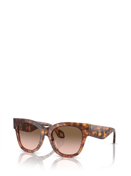 Ar8195u Red Havana / Orange Havana Sunglasses