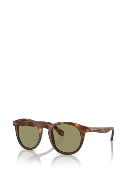 Ar8192 Havana Red / Opal Olive Green Sunglasses