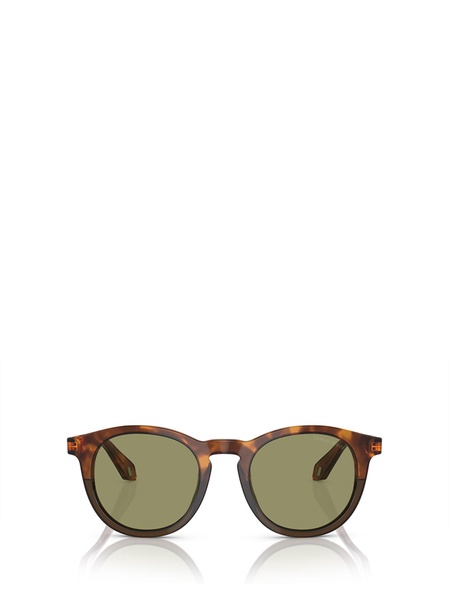 Ar8192 Havana Red / Opal Olive Green Sunglasses