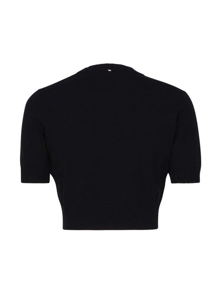 Sportmax Crewneck Cropped Knitted Top