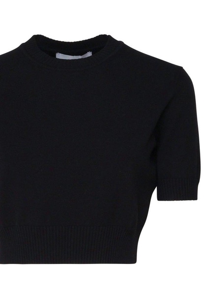 Sportmax Crewneck Cropped Knitted Top