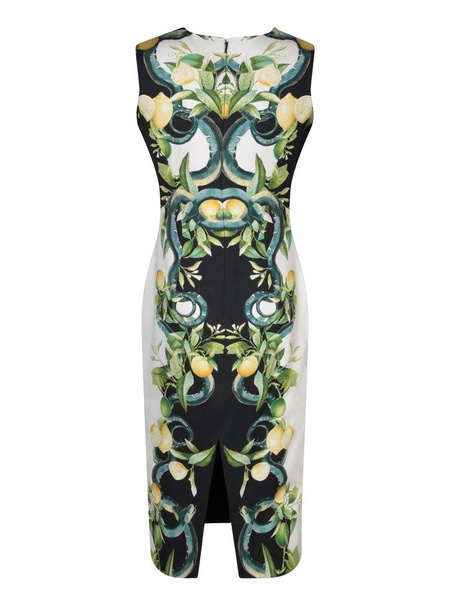 Roberto Cavalli Lemon-Printed Sleeveless Midi Dress