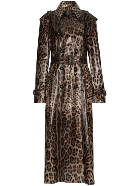 leopard-print belted trench coat