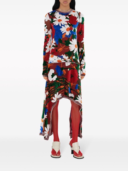 Daisy Garden-print velvet midi dress