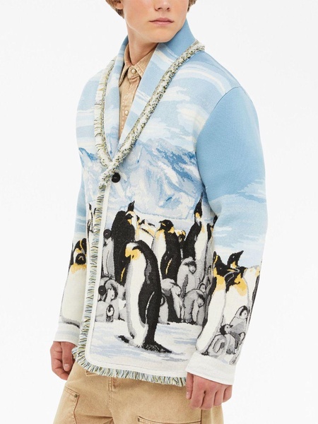 Postcard From Antarctica jacquard cardigan