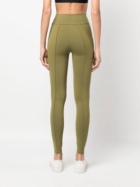 Tuxedo Legging Lily Pad