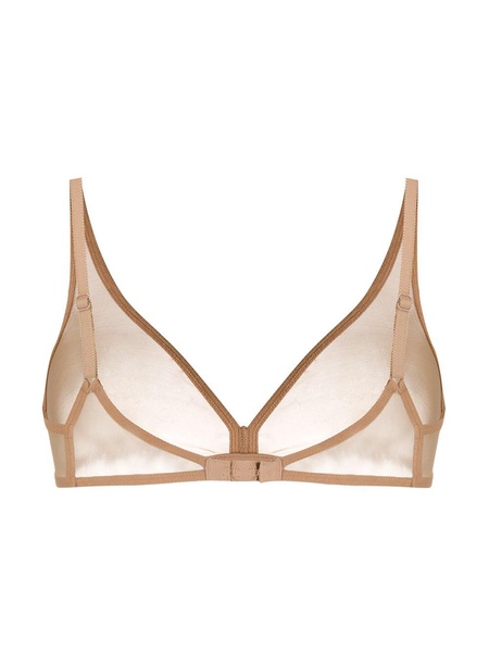 sheer underwire bra