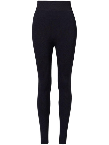 seamless ski legging