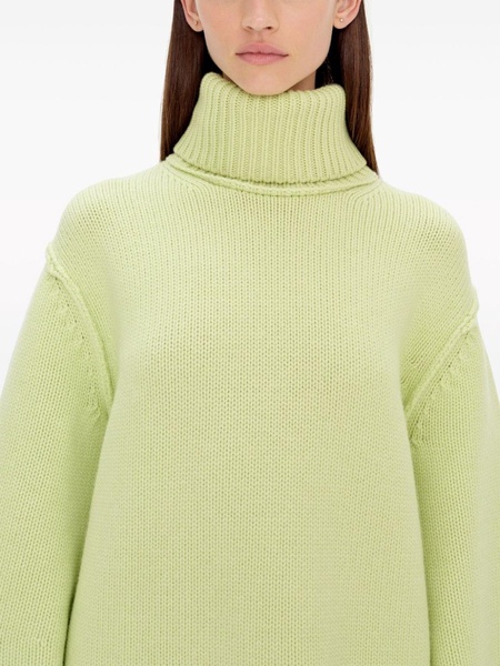 Leylani roll-neck ribbed-knit jumper