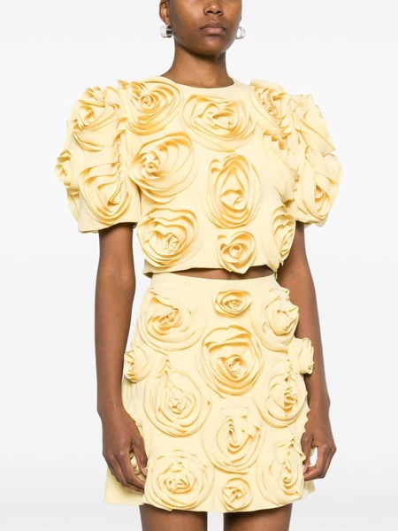 rose-appliqué cropped top