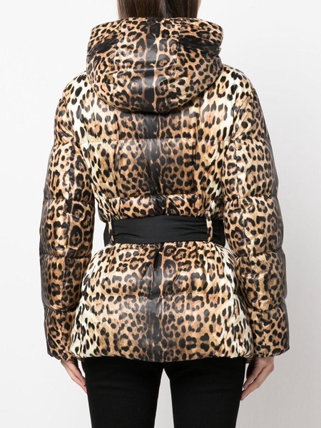 leopard-print padded jacket