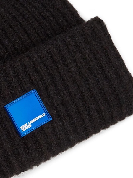 Box Logo beanie