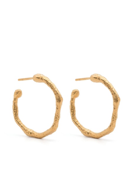 Forte_Forte Small Hoop Earrings Accessories