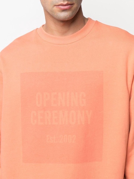 box logo cotton sweatshirt