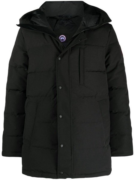 Carson padded hooded coat