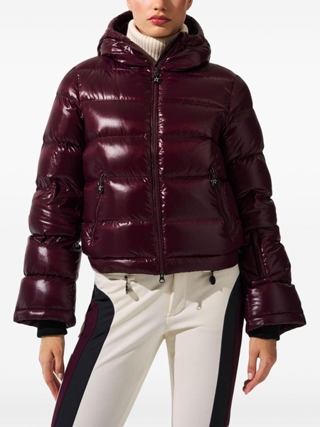 Polar ski jacket 