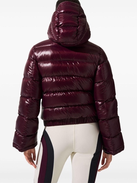 Polar ski jacket 