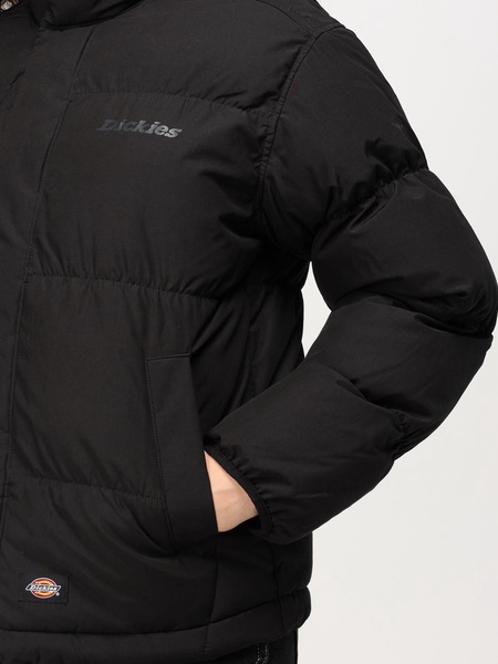 Jacket woman Dickies