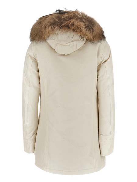 Arctic Raccoon Parka