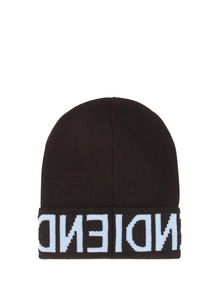 Beanie Hat